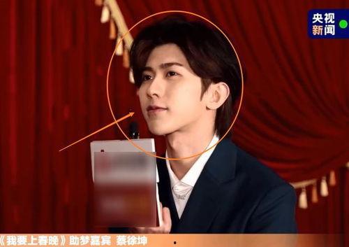 蔡徐坤采访爆料视频大全,揭秘偶像背后的故事与心声