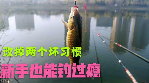 春天钓鱼爆料最新消息,揭秘最新爆料,钓鱼爱好者不容错过的春季钓鱼攻略 第2张 春天钓鱼爆料最新消息,揭秘最新爆料,钓鱼爱好者不容错过的春季钓鱼攻略 第2张